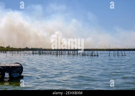 Combustione di paglia di riso stoppia in allevatori di riso in Albufera Valencia Spagna, inquinamento problema ambientale, nuvole di cielo scuro Foto Stock