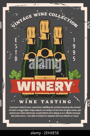Vino d'uva di tipo brut, cantina e processo di degustazione. Vino frizzante vettoriale, bevanda alcolica artigianale di frutta o bacche naturali. Prodotto per la grappa, Beverag Illustrazione Vettoriale