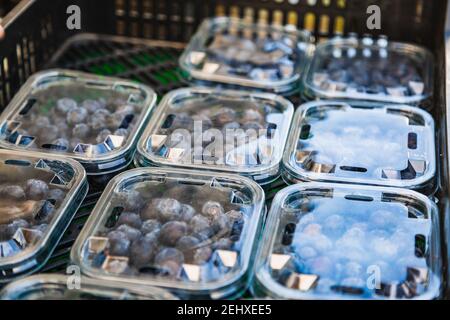 Mirtilli in un vassoio di plastica trasparente. Mirtilli appena raccolti sul cortile, concetto di cibo. Foto Stock
