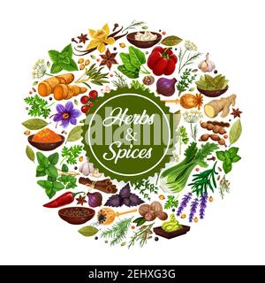 Condimenti icona di erbe e spezie per cucinare. Negozio di alimentari con aglio e zafferano, cardamomo, zenzero, lavanda e vaniglia. Peperoncino o campana a Illustrazione Vettoriale