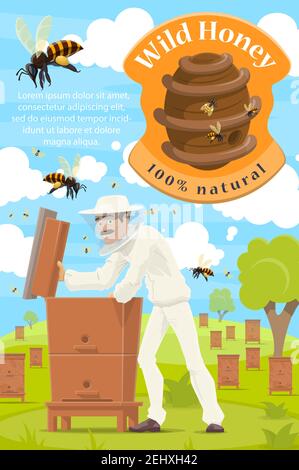 Apicoltore, manifesto di allevamento di apicolori di miele. Vettore cartoon apicoltore uomo prendendo miele naturale organico in nido d'ape da alveare Illustrazione Vettoriale