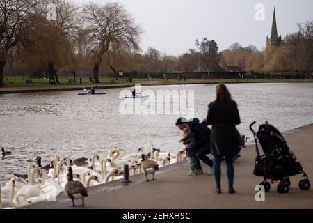 Le famiglie giocano e nutrono cigni a Stratford-upon-Avon, Warwickshire. Data immagine: Sabato 20 febbraio 2021. Foto Stock