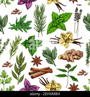 Spezie ed erbe sfondo senza giunture con condimenti e condimenti alimentari schizzi. Vettore prezzemolo, menta e rosmarino, vaniglia, cannella e gi Illustrazione Vettoriale