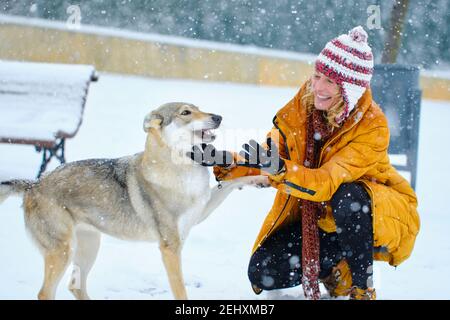 Giovane caucasica che si diverte a giocare con un cane da lupo nella neve all'aperto in inverno. Navarra, Spagna, Europa. Foto Stock