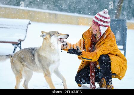 Giovane caucasica che si diverte a giocare con un cane da lupo nella neve all'aperto in inverno. Navarra, Spagna, Europa. Foto Stock