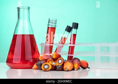 Olio di palma e frutta di colore rosso non raffinati con test in becher provetta in laboratorio Foto Stock