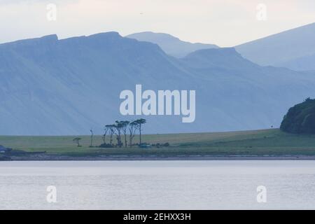 Spettacolari scogliere costiere scozzesi, parte di un telephoto paesaggio dietro un insolito mazzo di alberi sull'isola di raasay. Tonalità di colore blu e verde. Foto Stock