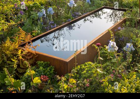 English Cottage Garden corten Steel Water Trough caratterizzato da letto con bordo di fiori con piantagione mista Iris germanica bel Azure Tellima grandiflora Rubra UK Foto Stock