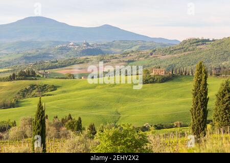 Vista su una valle con fattorie Foto Stock