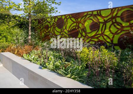 Un moderno giardino urbano recinzione pannelli e una panca in pietra - primavera - letti rialzati fiore bordo cielo blu - Corylus colurna - turco nocciolo albero - UK Foto Stock