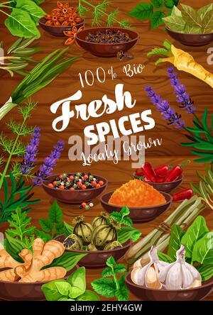 Spezie ed erbe ingredienti alimentari con condimenti vegetali e condimenti su sfondo di legno. Prezzemolo vettoriale, menta e basilico, peperoncino, aglio Illustrazione Vettoriale