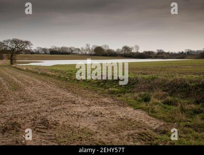 Campo agricolo allagato dopo pioggia pesante Foto Stock