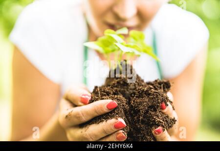 Lavoratore agricolo che si prende cura di piccola pianta di basilico in alternativa Farm - Biologia agronomia e concetto di giorno di terra con contadino lavorare sull'ambiente