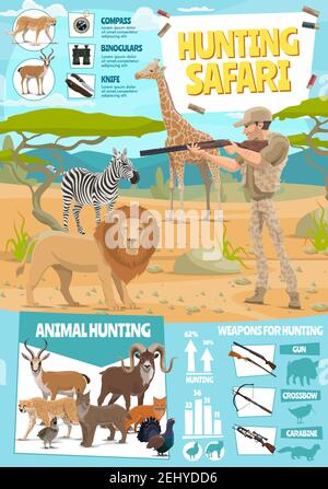 Attrezzature sportive per la caccia e infografiche della stagione di caccia. Grafico statistico vettoriale su animali selvatici da safari africani, caccia munizioni fuce trappola per leone, Illustrazione Vettoriale