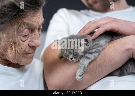 Felice donna anziana coccolata e bacio, si snuggle fino a faccia piccolo carino gattino grigio, che ha tenuto in braccio da suo nipote durante la visita a sua nonna a. Foto Stock