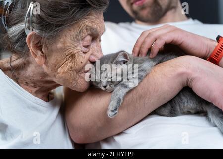 Felice donna anziana coccolata e bacio, si snuggle fino a faccia piccolo carino gattino grigio, che ha tenuto in braccio da suo nipote durante la visita a sua nonna a. Foto Stock