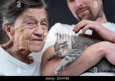 Tenerezza donna anziana, bacia carino grigio scozzese gattino dritto sul divano a casa di cura con volontario. Kitty terapia. Nonna e adulto Foto Stock
