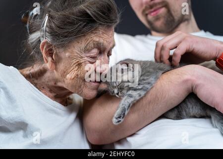 Felice donna anziana coccolata e bacio, si snuggle fino a faccia piccolo carino gattino grigio, che ha tenuto in braccio da suo nipote durante la visita a sua nonna a. Foto Stock