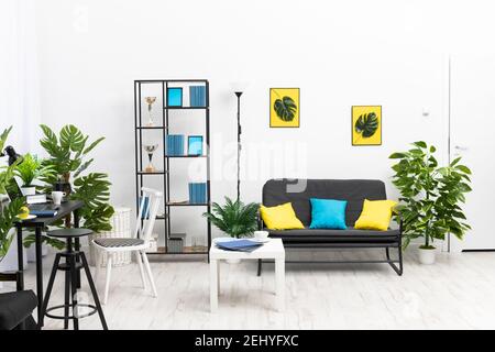 Ampio soggiorno dallo stile moderno, con pareti e arredi minimalisti. Foto Stock