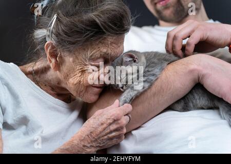 Tenerezza donna anziana, bacia carino grigio scozzese gattino dritto sul divano a casa di cura con volontario. Kitty terapia. Nonna e adulto Foto Stock