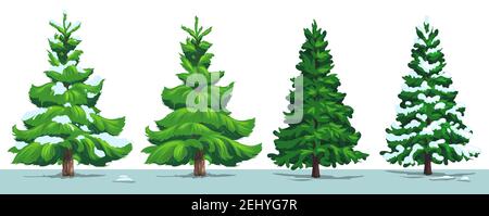 Albero di Natale con neve. Vettore alberi di pino verde, abete e abete rosso con rami nevosi nella foresta invernale, isolato su bianco. Vacanze di Natale e Capodanno Illustrazione Vettoriale