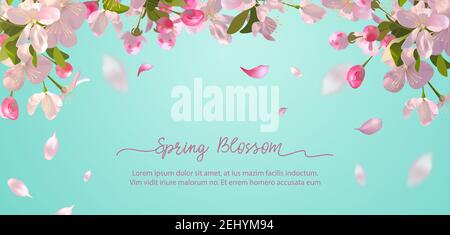 Fiori Sakura e petali volanti su sfondo primaverile Illustrazione Vettoriale