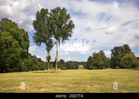 Parco von Muskau (Parco Muzakowski) vicino a Bad Muskau. Patrimonio dell'umanità dell'UNESCO. Germania Foto Stock