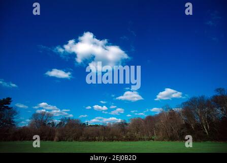 Nuvole nel cielo blu il giorno del sole nel Parco di Nonsuch Cheam Surrey Inghilterra Foto Stock