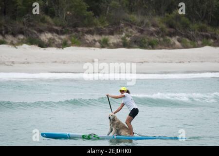 Un paddleboarder stand-up con il loro cane a Husksisson, nuovo Galles del Sud, Australia. Foto Stock