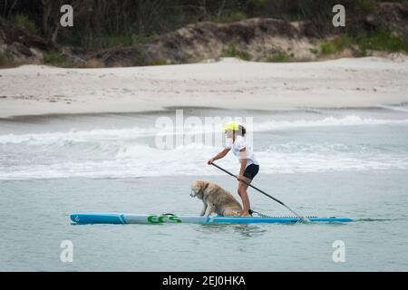 Un paddleboarder stand-up con il loro cane a Husksisson, nuovo Galles del Sud, Australia. Foto Stock