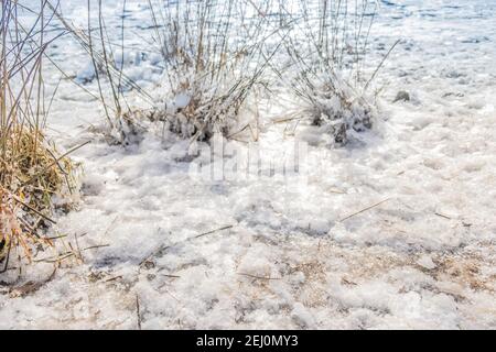 diamant Ice gobba sulle rive dell'Elba Amburgo alla luce del sole Foto Stock