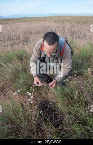 Jeff Fields, Program Manager della Zumwalt Prairie Preserve di TNC, che ispeziona un uccisione di uccelli, Oregon. Foto Stock