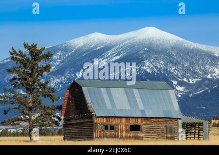 vecchio fienile di tronchi sotto il monte baldy nelle montagne della grande cintura vicino a townsend, montana Foto Stock