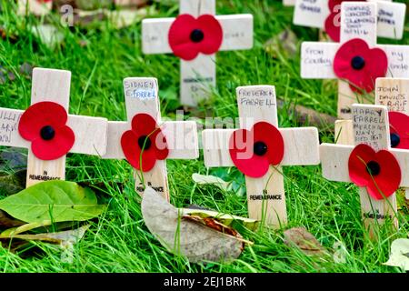 Warminster, Wiltshire / UK - Novembre 10 2019: Croci di ricordo del papavero in legno nel campo di Warminster della memoria alla Cappella di San Lorenzo Foto Stock