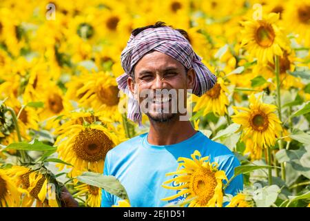 Felice agricoltore all'interno del suo campo di girasoli con buona coltivazione. Foto Stock