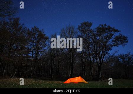 Tenda illuminante, boschi e notte stellata blu nel Parco dei Nebrodi, Sicilia Foto Stock