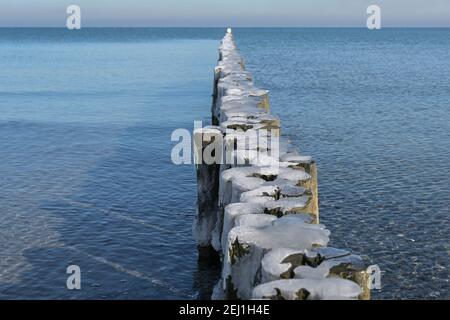 Goods di legno con cappelli di ghiaccio sulla spiaggia della costa del Mar Baltico nel nord della Germania, spazio di copia, fuoco selezionato, profondità di campo stretta Foto Stock