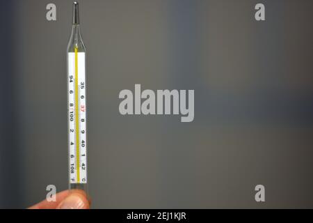 Termometro a mercurio. La temperatura normale di una persona sana è 36.6  Foto stock - Alamy