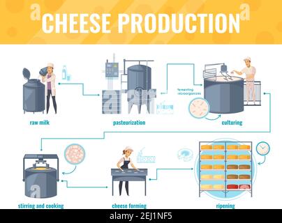 Produzione di formaggi infografiche su sfondo bianco con linea di lavorazione che comprende pastorizzazione del latte, maturazione del prodotto, illustrazione vettoriale Illustrazione Vettoriale