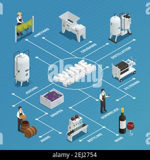 Processo di produzione del vino diagramma di flusso isometrico con filtrazione della distillazione di pigiatura dell'uva imbottigliamento juicing elementi di invecchiamento illustrazione vettoriale Illustrazione Vettoriale