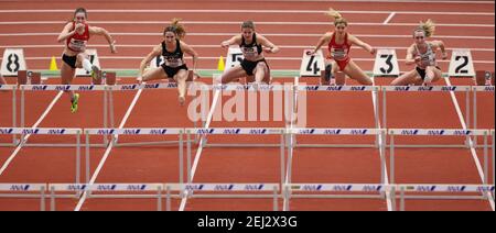 Città di Dortmund, Germania. 20 febbraio 2021. Firo: 20.02.2021, atletica, campionati indoor 2021, campionati indoor tedeschi 2021 a Dortmund, 60 metri hurdles donne, semifinali con LOBO Ricarda, secondo da sinistra, campione tedesco | usage worldwide Credit: dpa/Alamy Live News Foto Stock