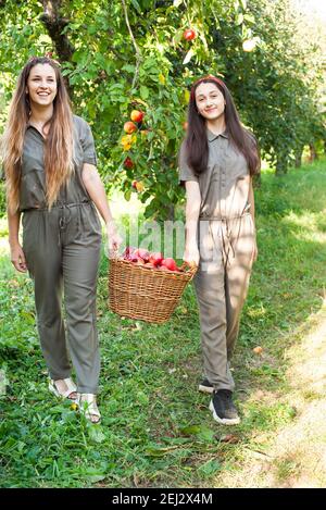 Ragazze con mela in frutteto. Belle sorelle che raccolgono mele biologiche. Concetto di raccolto. Giardino, adolescenti che mangiano frutta alla vendemmia di autunno. Foto Stock