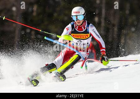 Cortina (BL, Italia. 21 Feb 2021. Cortina (BL), Italia, Druscie, 21 febbraio 2021, Adrian PERTL (AUT) durante i Campionati mondiali di SCI alpino 2021 FIS - Slalom - uomini - gara di sci alpino Credit: Luca Tedeschi/LPS/ZUMA Wire/Alamy Live News Foto Stock