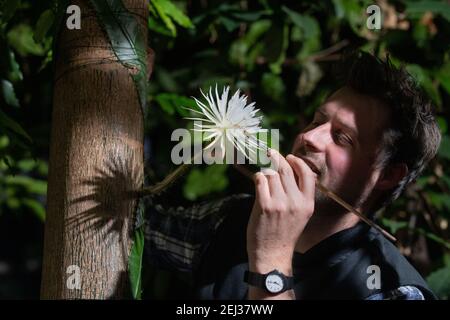 Alex Summers, supervisore di Glasshouse, con un raro cactus amazzonico chiamato Moonflower presso il Giardino Botanico dell'Università di Cambridge, fiorisce per ciò che i botanici ritengono sia la prima volta nel Regno Unito. Gli esperti hanno tenuto un orologio notturno durante tutta la settimana in modo che non hanno perso la fioritura di Selenicereus wittii - un evento che inizia al tramonto ed è finito dall'alba. Data immagine: Sabato 20 febbraio 2021. Foto Stock
