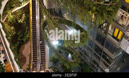 BANGKOK, THAILANDIA - 18 DICEMBRE 2018 il centro commerciale di lusso Emquartier. Design di centro commerciale, verde eco-compatibile concetto. Giardino pensile, f Foto Stock