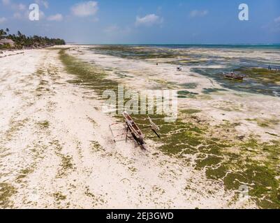 Foto aerea di un catamarano in dhow africano in legno a bassa marea. Jambiani, Zanzibar, Tanzania Foto Stock