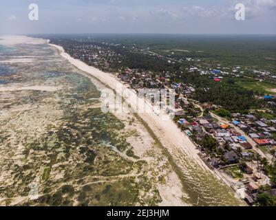 Foto aerea di alghe sottomarine alghe marine su una bassa marea. Fondo del mare superficie in eccesso con le zavane di mare a Jambiani, Zanzibar, Tanzania Foto Stock