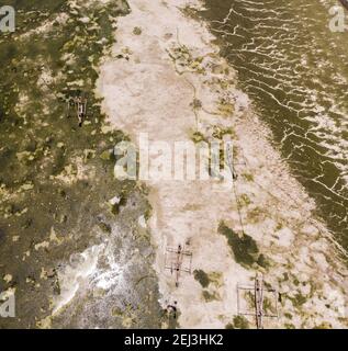 Foto aerea di alghe sottomarine alghe marine su una bassa marea. Fondo del mare superficie in eccesso con le zavane di mare a Jambiani, Zanzibar, Tanzania Foto Stock