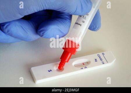 Covid-19 Testkassette zeigt einen durch eine Speichelprobe vorgenommenen negativen Covid-19 Antigen-Schnelltest der chinesischen Firma Joinstar Biomedical. Prüfung auf eine mögliche Infektion mit dem Corona-Virus. La cassetta di test Covid-19 mostra un test rapido dell'antigene Covid-19 negativo della società cinese Joinstar Biomedical utilizzando un campione di spit. Verificare la presenza di una possibile infezione con il virus corona. Foto Stock