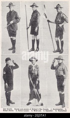 Foto d'epoca di Boy Scouts - ranghi e gradi 1900. Foto Stock